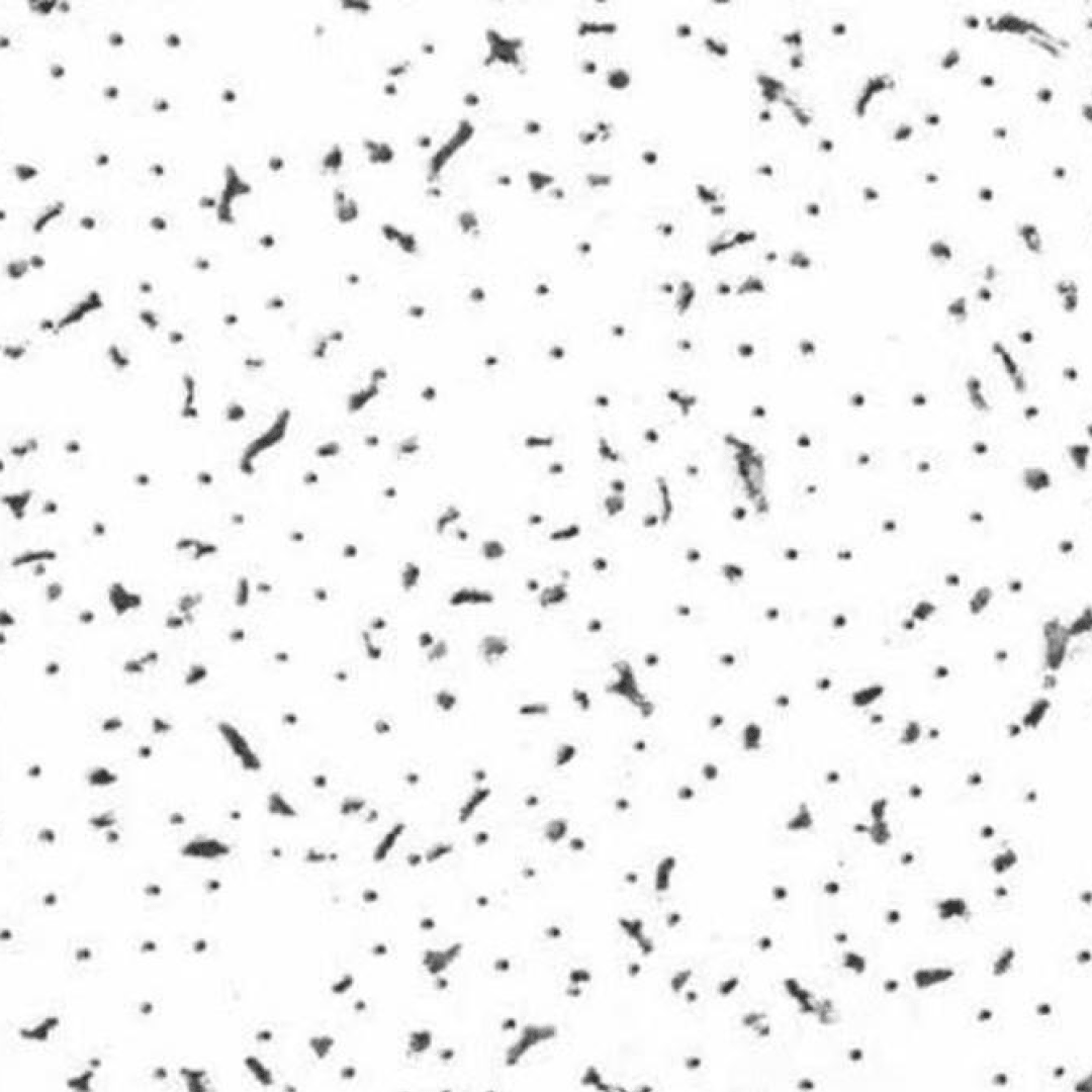 Baroque™ Mineral Fiber Ceiling Tile Panels 2 ft x 4 ft x 5/8" Trim Edge - BET-197 8pcs/box - TESCO Building Supplies