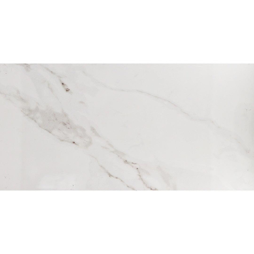 TILE - NAOS BRILLO 12X24 TESCO Building Supplies