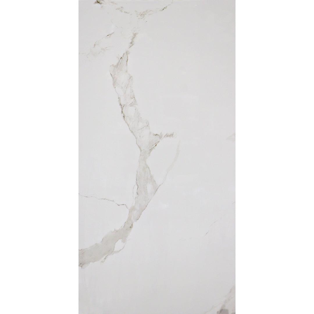 TILE - TBP612033 24X48 TESCO Building Supplies