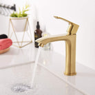 Bathroom Sink Faucet - F11125 KODAEN INC.