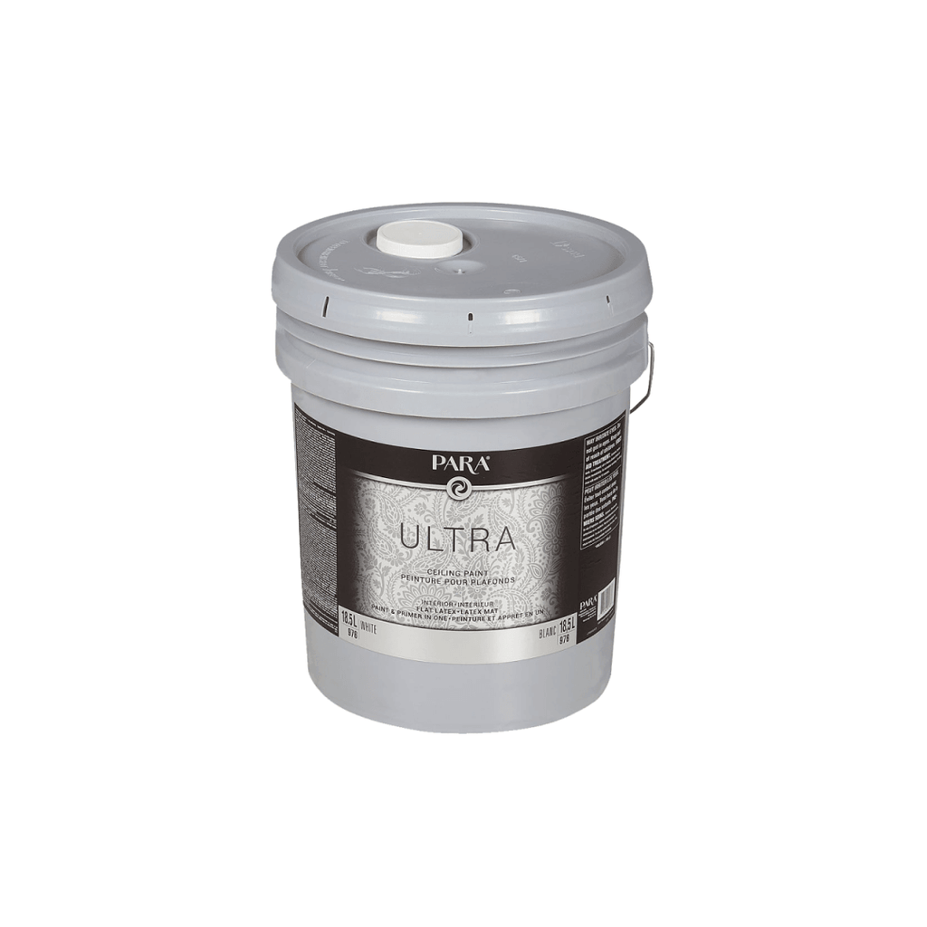 Ultra Interior Ceiling White Paint - 976 PARA